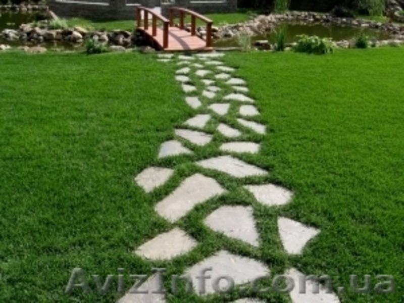 Реставрация  газонов - <ro>Изображение</ro><ru>Изображение</ru> #8, <ru>Объявление</ru> #853970