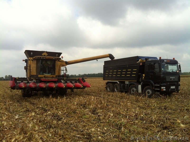 Зерновозы 25 тон и 30 тон - <ro>Изображение</ro><ru>Изображение</ru> #2, <ru>Объявление</ru> #867684