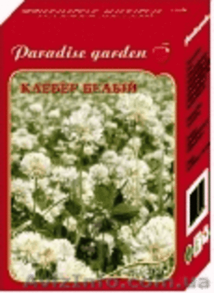 Семена газонных трав и травосмесей - <ro>Изображение</ro><ru>Изображение</ru> #6, <ru>Объявление</ru> #85782