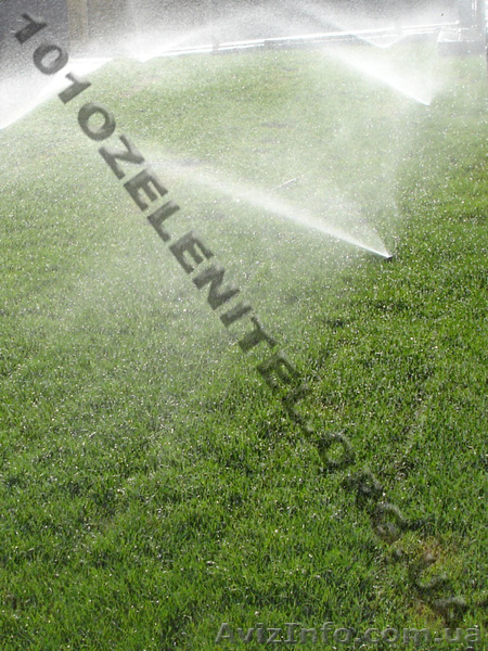 Устройство газона.  - <ro>Изображение</ro><ru>Изображение</ru> #4, <ru>Объявление</ru> #885844