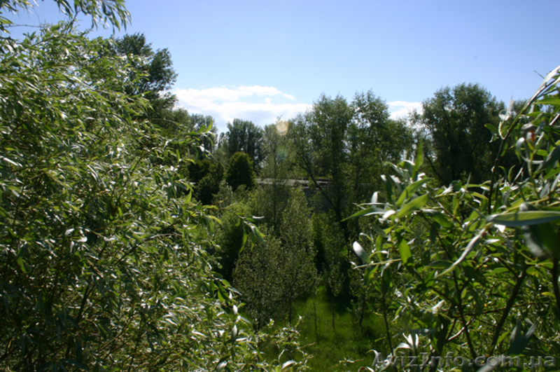 Участок по 1-й линии от воды с парком - <ro>Изображение</ro><ru>Изображение</ru> #8, <ru>Объявление</ru> #877413