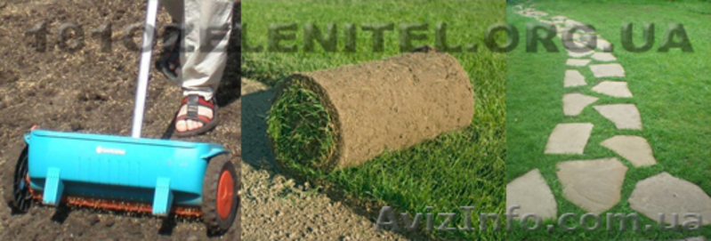 Ландшафтный дизайн, автоматический полив, обслуживание, освещение. - <ro>Изображение</ro><ru>Изображение</ru> #7, <ru>Объявление</ru> #885812