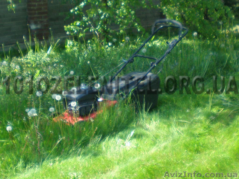 Обслуживание территории. Садовник. - <ro>Изображение</ro><ru>Изображение</ru> #3, <ru>Объявление</ru> #885857