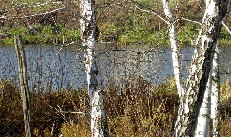 Шикарная прибрежная земля для Вашей усадьбы, две стороны по "урезу воды". - <ro>Изображение</ro><ru>Изображение</ru> #8, <ru>Объявление</ru> #879830