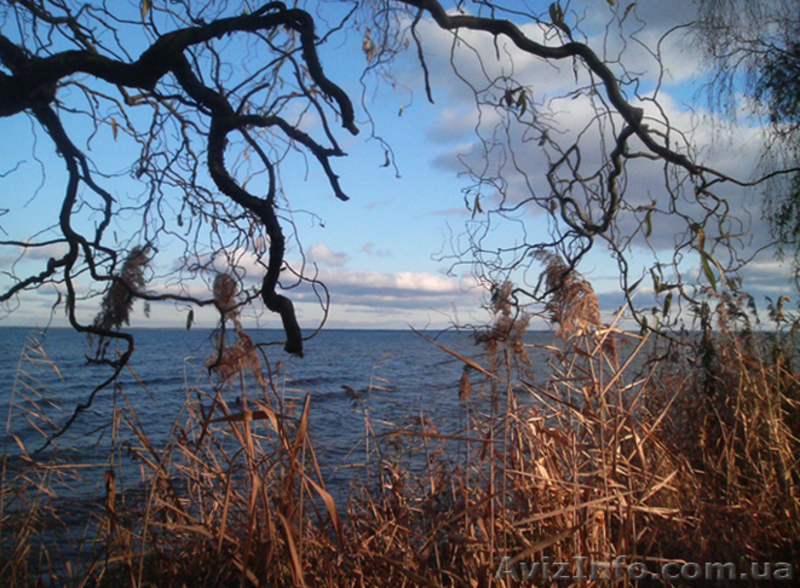 Участок по 1-й линии от воды с парком - <ro>Изображение</ro><ru>Изображение</ru> #4, <ru>Объявление</ru> #877413