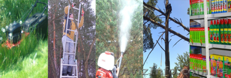 Стрижка живой изгороди, обрезка сада, обработка от вредителей. - <ro>Изображение</ro><ru>Изображение</ru> #1, <ru>Объявление</ru> #885802