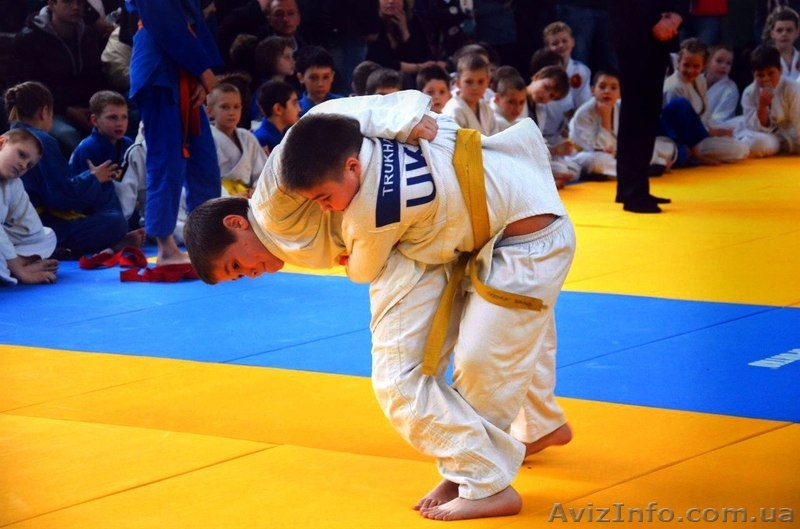 Детско-юношеская спортивная школа №14 на Лесном,Черниговской,Дарнице - <ro>Изображение</ro><ru>Изображение</ru> #6, <ru>Объявление</ru> #881044