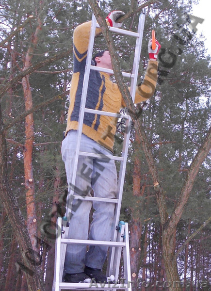 Обслуживание территории. Садовник. - <ro>Изображение</ro><ru>Изображение</ru> #6, <ru>Объявление</ru> #885857