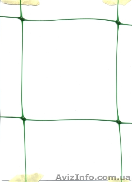 Огуречная сетка - <ro>Изображение</ro><ru>Изображение</ru> #4, <ru>Объявление</ru> #880126