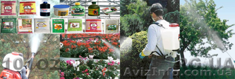 Ландшафтный дизайн, автоматический полив, обслуживание, освещение. - <ro>Изображение</ro><ru>Изображение</ru> #6, <ru>Объявление</ru> #885812