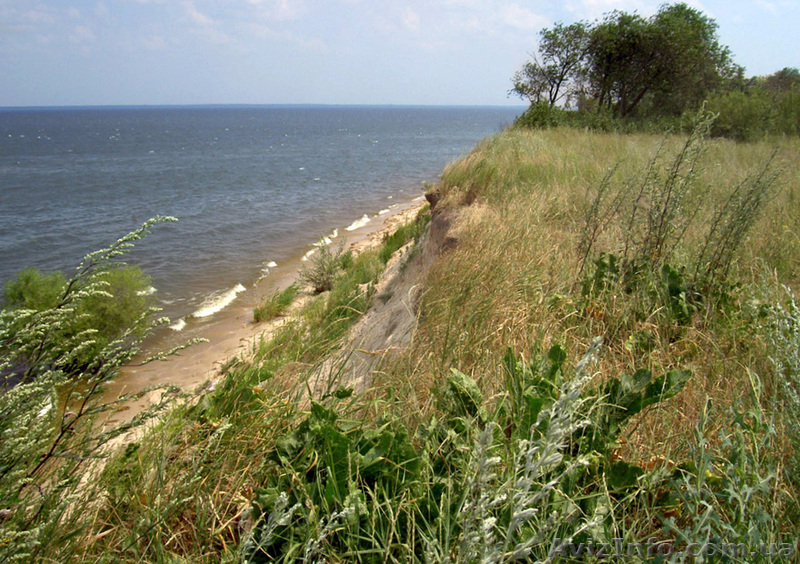 Шикарная прибрежная земля для Вашей усадьбы, две стороны по "урезу воды". - <ro>Изображение</ro><ru>Изображение</ru> #5, <ru>Объявление</ru> #879830