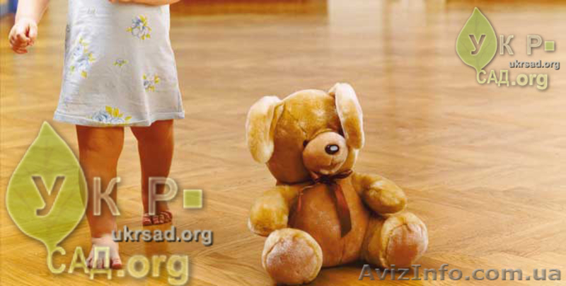 Циклевка паркета Киев и область, лучшая Цена и Качество - <ro>Изображение</ro><ru>Изображение</ru> #3, <ru>Объявление</ru> #875976