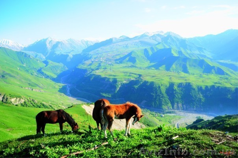 ЭКСКУРСИОННЫЕ ТУРЫ В ГРУЗИЮ! - <ro>Изображение</ro><ru>Изображение</ru> #9, <ru>Объявление</ru> #874657