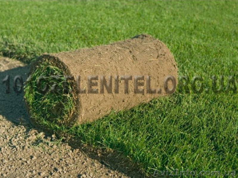 Обслуживание территории. Садовник. - <ro>Изображение</ro><ru>Изображение</ru> #8, <ru>Объявление</ru> #885857