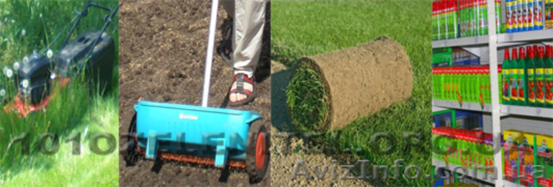 Ландшафтный дизайн, автоматический полив, обслуживание, освещение. - <ro>Изображение</ro><ru>Изображение</ru> #9, <ru>Объявление</ru> #885812