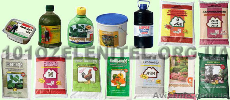 Обслуживание территории. Садовник. - <ro>Изображение</ro><ru>Изображение</ru> #7, <ru>Объявление</ru> #885857