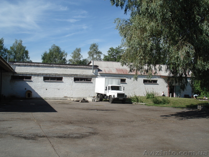 продается предприятие по перераб. зерна, производству муки, макаронных изделий - <ro>Изображение</ro><ru>Изображение</ru> #5, <ru>Объявление</ru> #638842