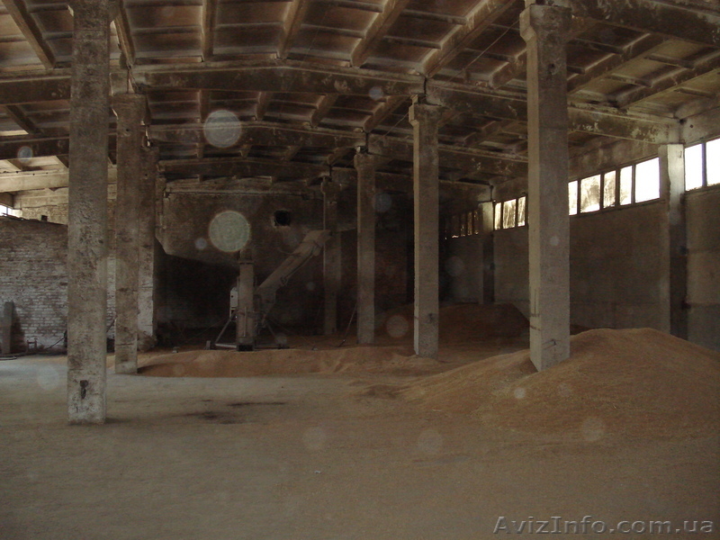 продается предприятие по перераб. зерна, производству муки, макаронных изделий - <ro>Изображение</ro><ru>Изображение</ru> #8, <ru>Объявление</ru> #638842