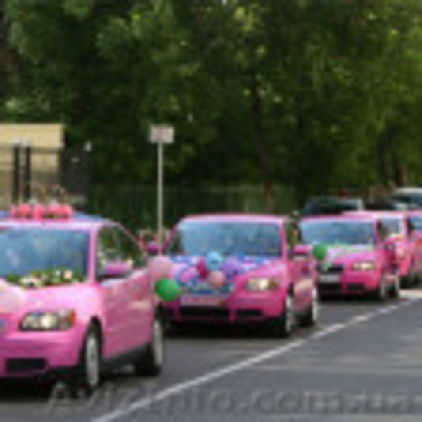 Организация и проведение тематических свадеб - <ro>Изображение</ro><ru>Изображение</ru> #6, <ru>Объявление</ru> #898725