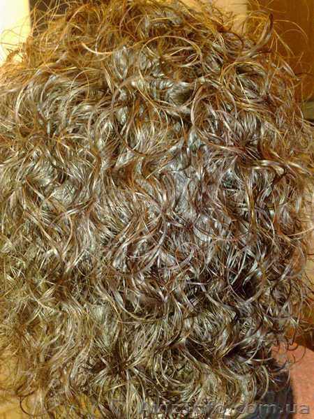 Биозавивка волос, биозавивка Мосса, биозавивка цена Киев - <ro>Изображение</ro><ru>Изображение</ru> #1, <ru>Объявление</ru> #914313