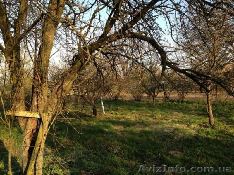 Продам дом с большим садом и огородом - <ro>Изображение</ro><ru>Изображение</ru> #9, <ru>Объявление</ru> #921795