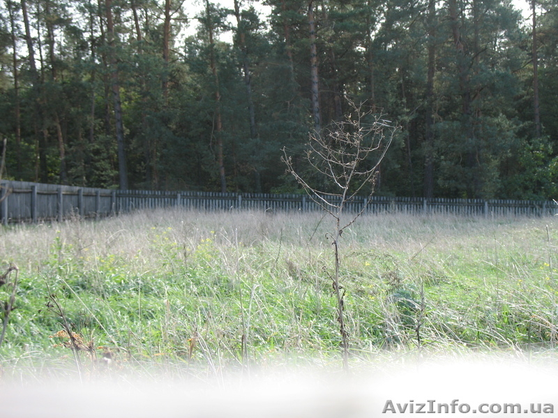Продам участок в с.Перевоз 35 км от Киева - <ro>Изображение</ro><ru>Изображение</ru> #1, <ru>Объявление</ru> #911395