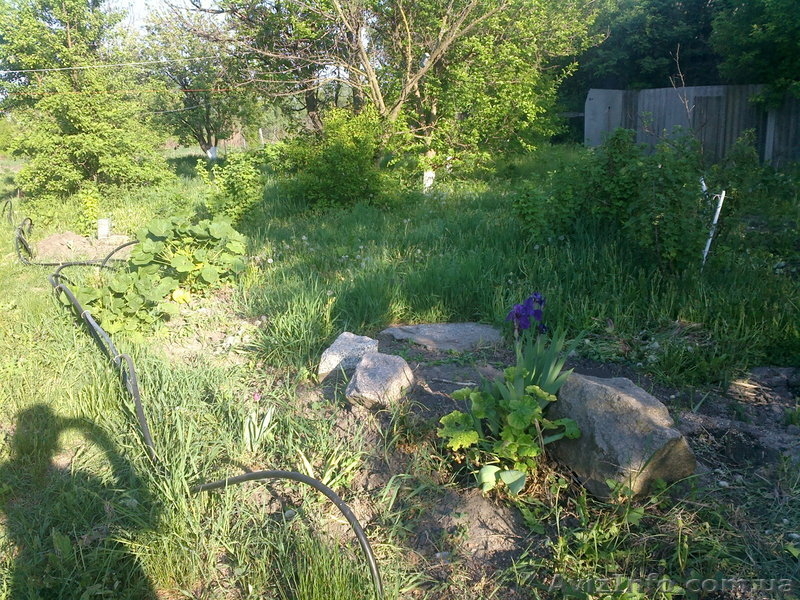 Обжитая дача Киевская область - <ro>Изображение</ro><ru>Изображение</ru> #9, <ru>Объявление</ru> #926802