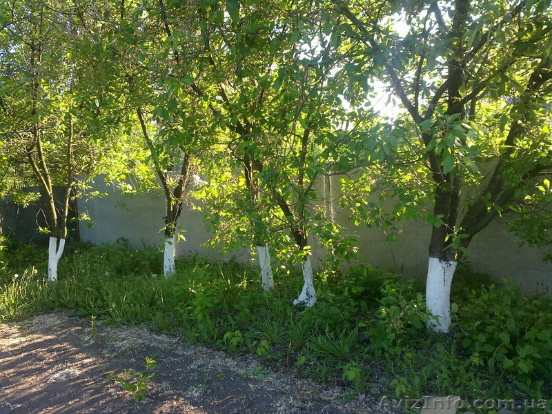 Продам  дачу (свою) - <ro>Изображение</ro><ru>Изображение</ru> #5, <ru>Объявление</ru> #926808