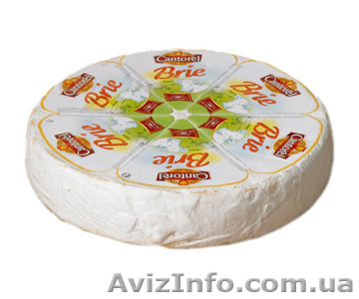 ПАН СЫРНАЯ ГОЛОВА - <ro>Изображение</ro><ru>Изображение</ru> #10, <ru>Объявление</ru> #923716