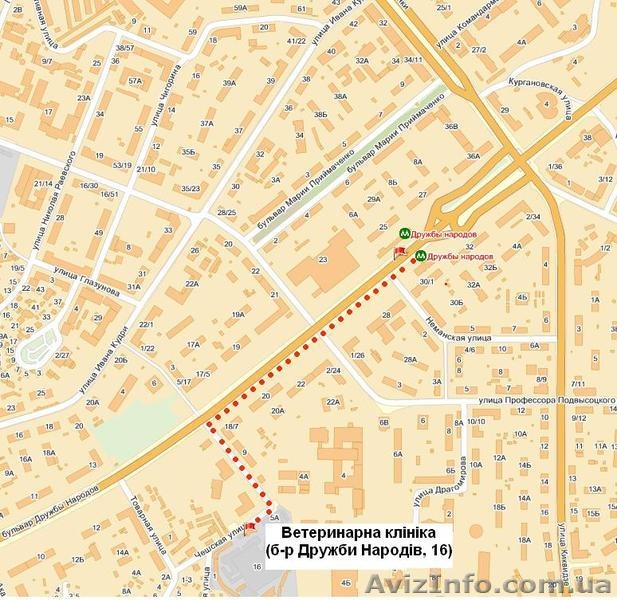 Ветклиника Киев, Центр, Печерск, ветаптека, зоомагазин - <ro>Изображение</ro><ru>Изображение</ru> #4, <ru>Объявление</ru> #923749