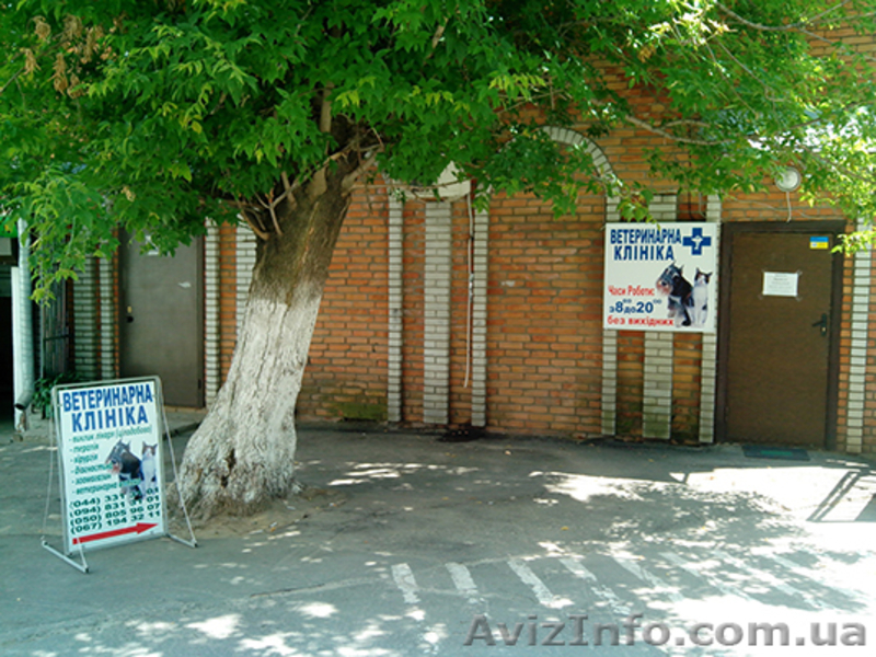 Ветклиника Киев, Центр, Печерск, ветаптека, зоомагазин - <ro>Изображение</ro><ru>Изображение</ru> #3, <ru>Объявление</ru> #923749