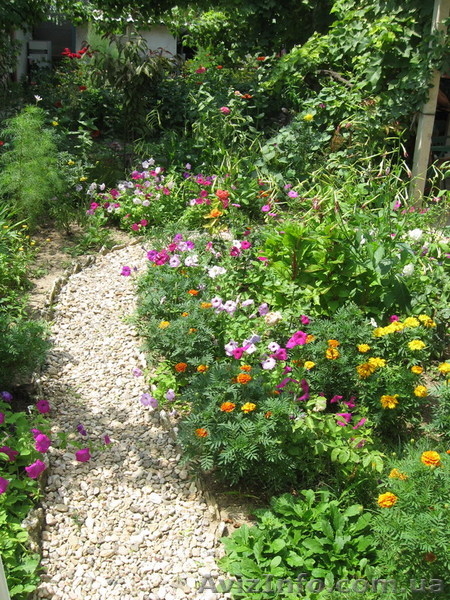 Отдых в Крыму без посредников.  - <ro>Изображение</ro><ru>Изображение</ru> #9, <ru>Объявление</ru> #936946