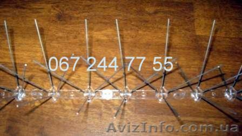 Шипы от птиц_противоприсадные иглы_средство от голубей - <ro>Изображение</ro><ru>Изображение</ru> #3, <ru>Объявление</ru> #926997