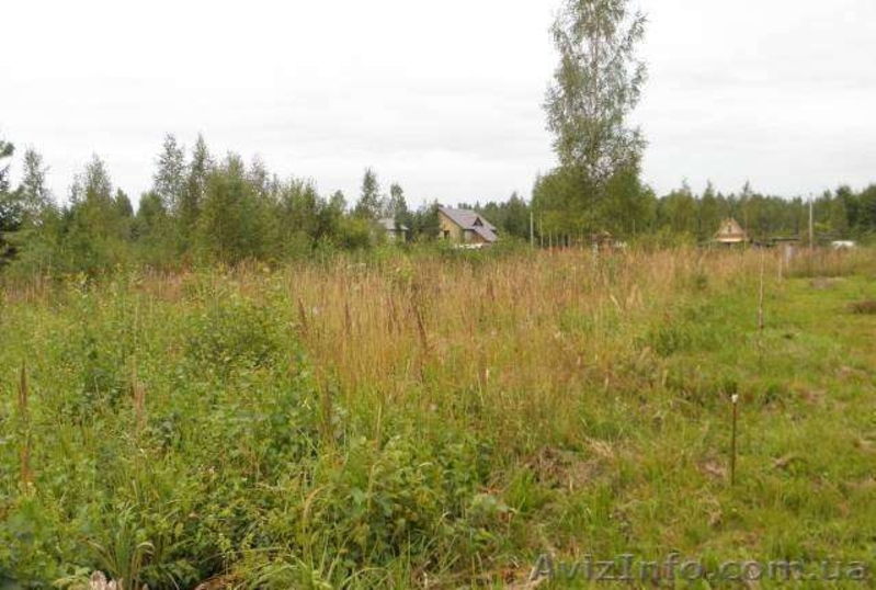 Продам 70 Га в 33 км от Киева. - <ro>Изображение</ro><ru>Изображение</ru> #4, <ru>Объявление</ru> #950540