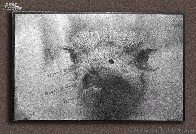 Гравировка по граниту - <ro>Изображение</ro><ru>Изображение</ru> #3, <ru>Объявление</ru> #943773