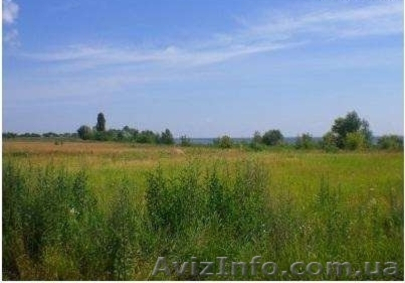 Продам 70 Га в 33 км от Киева. - <ro>Изображение</ro><ru>Изображение</ru> #1, <ru>Объявление</ru> #950540