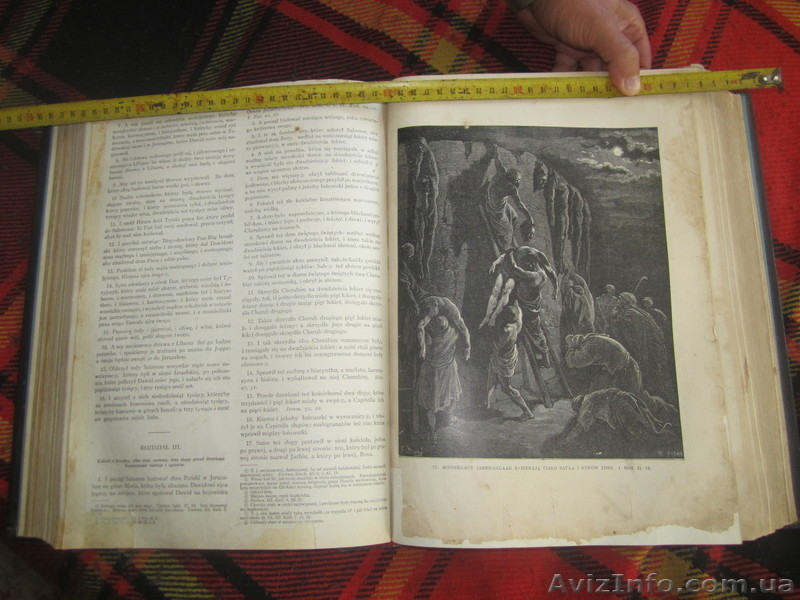 м .Зборів . Джурко Андрій 0989765132 - <ro>Изображение</ro><ru>Изображение</ru> #2, <ru>Объявление</ru> #946745