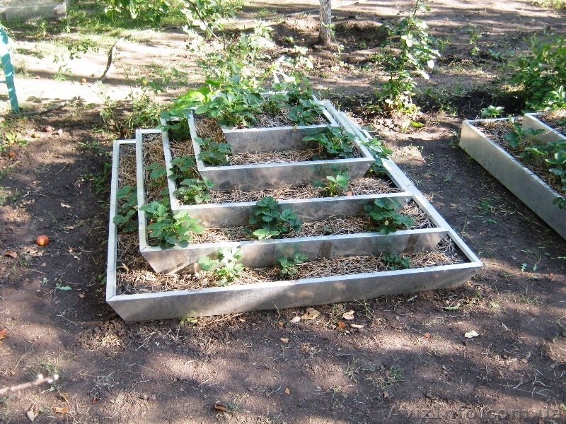 Пирамида под клубнику 5ти ярусная - <ro>Изображение</ro><ru>Изображение</ru> #2, <ru>Объявление</ru> #948194