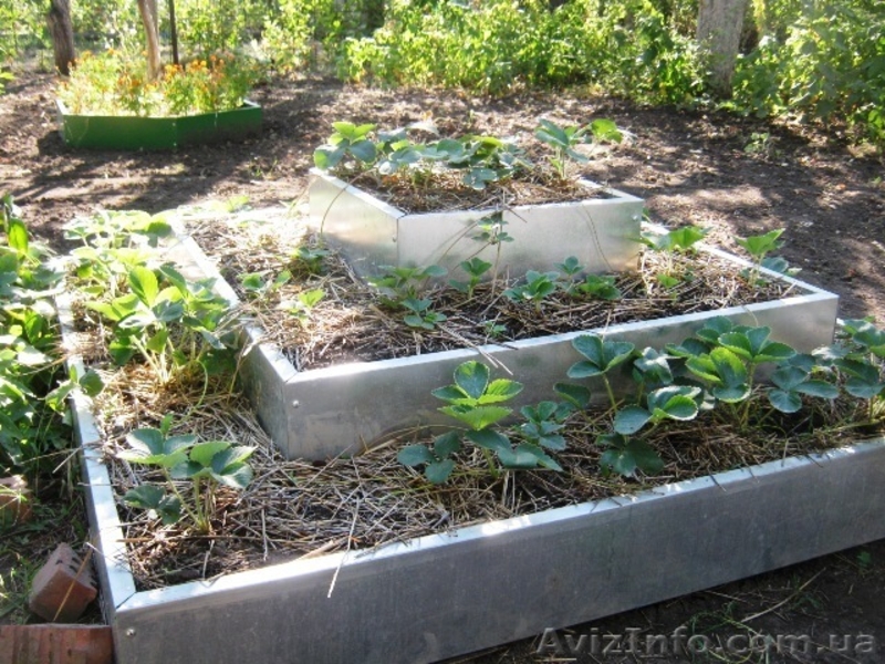 Пирамида под клубнику 3х ярусная - <ro>Изображение</ro><ru>Изображение</ru> #2, <ru>Объявление</ru> #948184