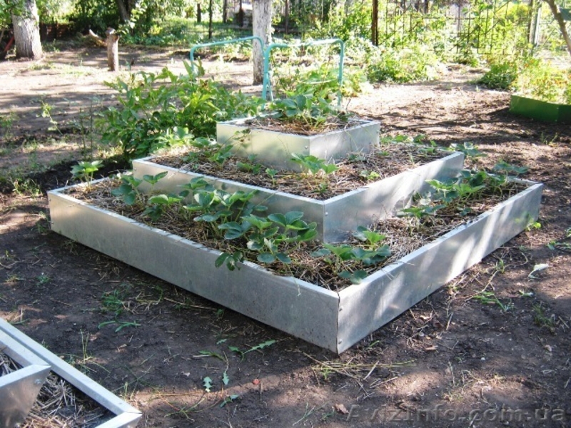 Пирамида под клубнику 3х ярусная - <ro>Изображение</ro><ru>Изображение</ru> #1, <ru>Объявление</ru> #948184