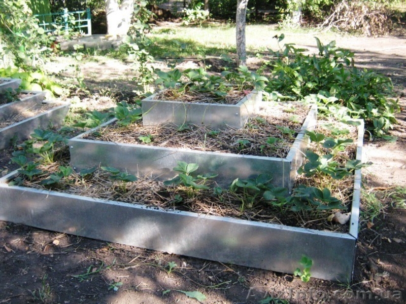 Пирамида под клубнику 3х ярусная - <ro>Изображение</ro><ru>Изображение</ru> #3, <ru>Объявление</ru> #948184