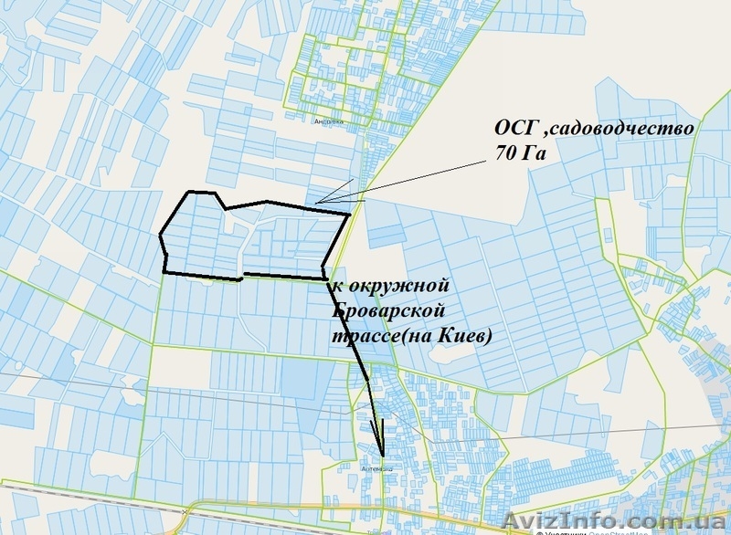 Продам 70 Га в 33 км от Киева. - <ro>Изображение</ro><ru>Изображение</ru> #3, <ru>Объявление</ru> #950540