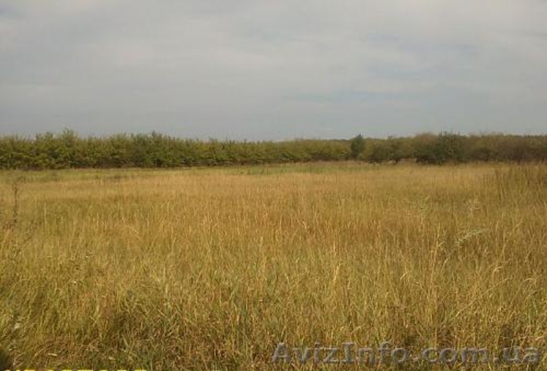 Продам 15 соток земли. Отличная транспортаня разязка. Фруктовый сад - <ro>Изображение</ro><ru>Изображение</ru> #1, <ru>Объявление</ru> #952146