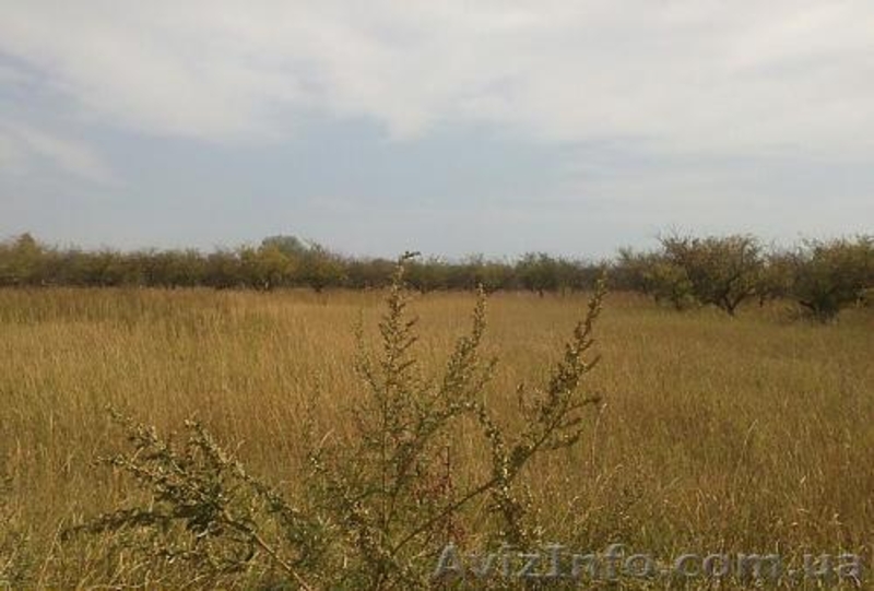 Продам 15 соток земли. Отличная транспортаня разязка. Фруктовый сад - <ro>Изображение</ro><ru>Изображение</ru> #2, <ru>Объявление</ru> #952146