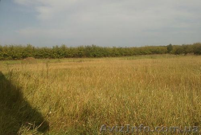 Продам 15 соток земли. Отличная транспортаня разязка. Фруктовый сад - <ro>Изображение</ro><ru>Изображение</ru> #3, <ru>Объявление</ru> #952146