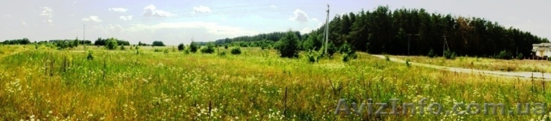  11 га под строительство, Березовка, Киев 17 км, возле леса, трасса Е-40 (на Евр - <ro>Изображение</ro><ru>Изображение</ru> #5, <ru>Объявление</ru> #958253