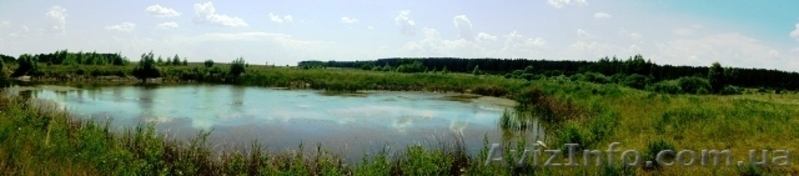  11 га под строительство, Березовка, Киев 17 км, возле леса, трасса Е-40 (на Евр - <ro>Изображение</ro><ru>Изображение</ru> #7, <ru>Объявление</ru> #958253