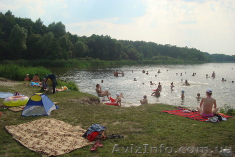 Участок земли 250 соток у озера Круглык. - <ro>Изображение</ro><ru>Изображение</ru> #5, <ru>Объявление</ru> #964728