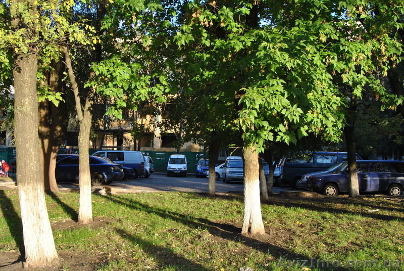 Самая большая из гостинок  - <ro>Изображение</ro><ru>Изображение</ru> #8, <ru>Объявление</ru> #963479