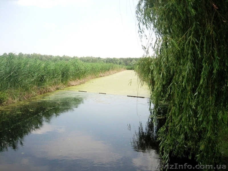 Продам участок в Подгорцах ... - <ro>Изображение</ro><ru>Изображение</ru> #3, <ru>Объявление</ru> #959746